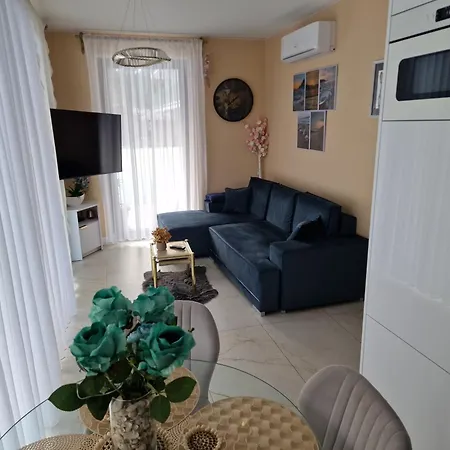 Hevenia Gold Papi & Zales *