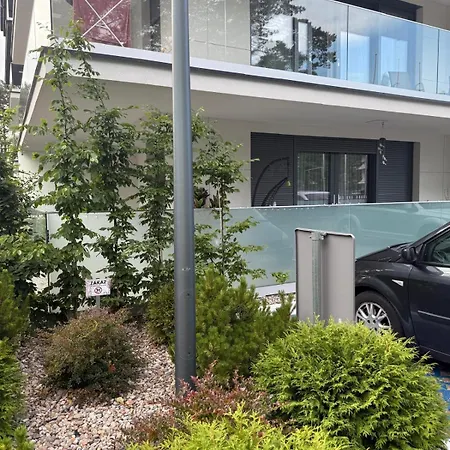 Hevenia Gold Papi & Zales *